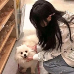 龙御在天满v变态版下载